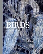 Capa do artigo Bitty Birds