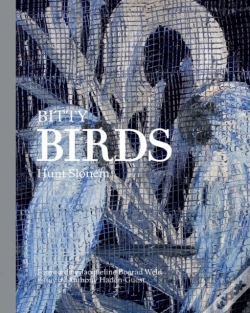 Capa do artigo Bitty Birds