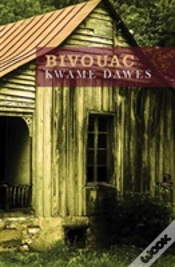 Capa do artigo Bivouac