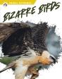 Bizarre Birds - Preview