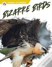Capa do artigo Bizarre Birds