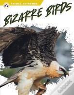 Bizarre Birds