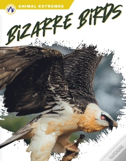 Capa do artigo Bizarre Birds
