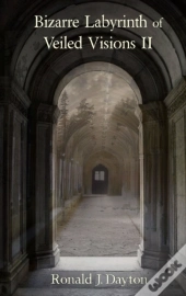 Bizarre Labyrinth Of Veiled Visions Ii