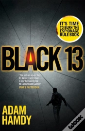 Capa do artigo Black 13