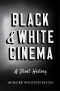 Black And White Cinema - Preview