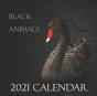 Black Animals 2021 Calendar - Preview