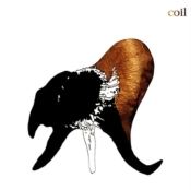 Capa do artigo Black Antlers - Vinil