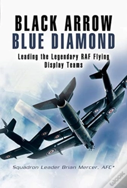 Capa do artigo Black Arrows Blue Diamonds