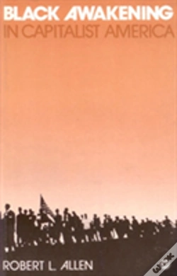 Capa do artigo Black Awakening In Capitalist America: An Analytical History
