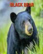 Black Bear - Preview