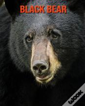 Black Bear