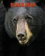 Black Bear - Preview