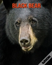Capa do artigo Black Bear