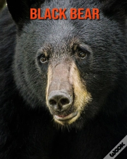 Capa do artigo Black Bear