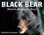 Black Bear - Preview