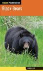 Black Bears - Preview