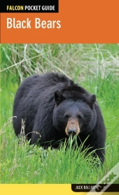 Black Bears