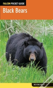 Capa do artigo Black Bears