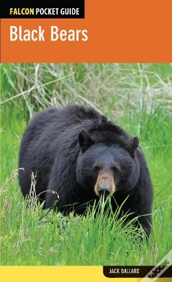 Capa do artigo Black Bears