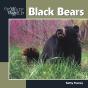 Black Bears - Preview