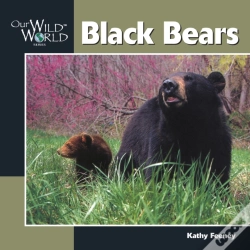 Capa do artigo Black Bears