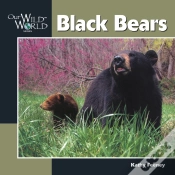 Capa do artigo Black Bears