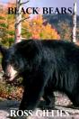 Black Bears - Preview
