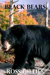 Capa do artigo Black Bears