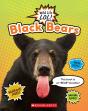 Black Bears (Wild Life Lol!) - Preview