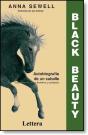 Black Beauty - Preview