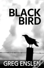 Capa do artigo Black Bird