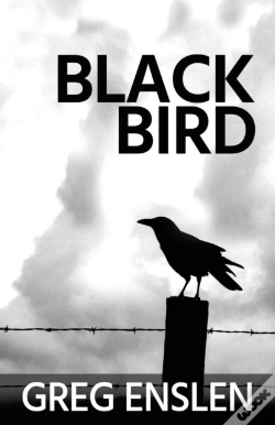 Capa do artigo Black Bird