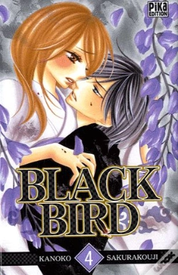 Capa do artigo Black Bird T04