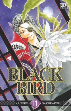 Capa do artigo Black Bird T.11