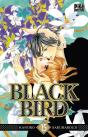 Black Bird T15 - Preview