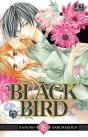 Black Bird T16 - Preview