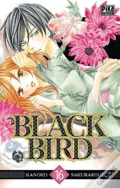 Capa do artigo Black Bird T16