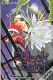 Capa do artigo Black Bird, Vol. 11