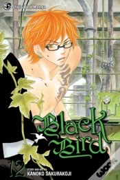 Capa do artigo Black Bird, Vol. 12