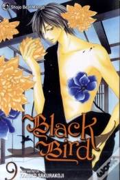 Capa do artigo Black Bird, Vol. 9