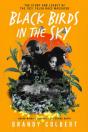 Black Birds In The Sky - Preview