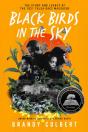 Black Birds In The Sky - Preview
