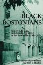 Black Bostonians - Preview