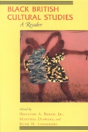 Black British Cultural Studies - Preview