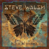 Capa do artigo Black Butterfly - CD