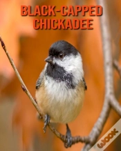 Capa do artigo Black-Capped Chickadee