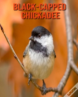 Capa do artigo Black-Capped Chickadee