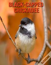 Black-Capped Chickadee
