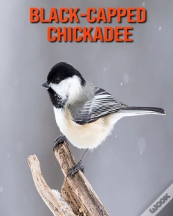 Capa do artigo Black-Capped Chickadee